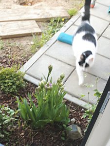 thankfulthursday15-9-2016