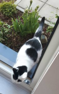 thankfulthursday15-9-2016