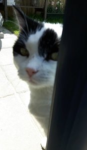 thankfulthursday22-9-2016