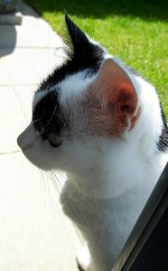 thankfulthursday22-9-2016