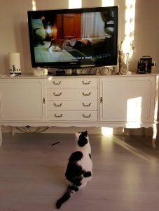 thankfulthursday22-9-2016