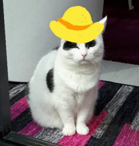 thankfulthursday22-9-2016