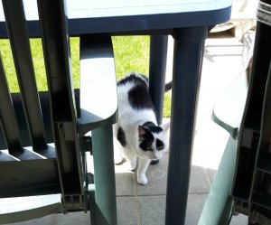 thankfulthursday22-9-2016