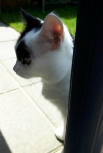 thankfulthursday22-9-2016