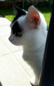 thankfulthursday22-9-2016