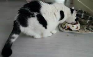 thankfulthursday22-9-2016