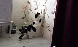 thankfulthursday22-9-2016