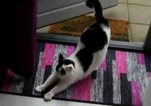 thankfulthursday22-9-2016