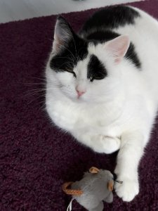 thankfulthursday22-9-2016