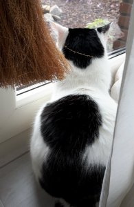 thankfulthursday22-9-2016