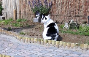 thankfulthursday29-9-2016