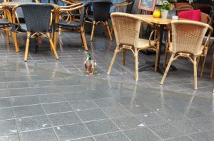 thankfulthursday29-9-2016