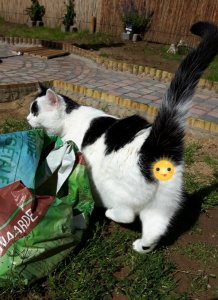 thankfulthursday29-9-2016