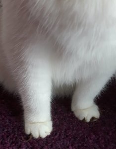 thankfulthursday8-9-2016