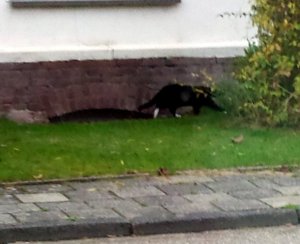 thankfulthursday8-9-2016