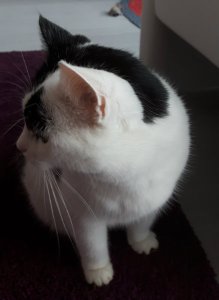 thankfulthursday8-9-2016