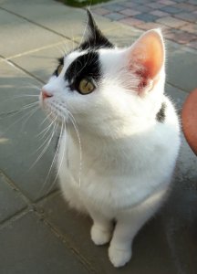 thirdeyewordlesswednesday