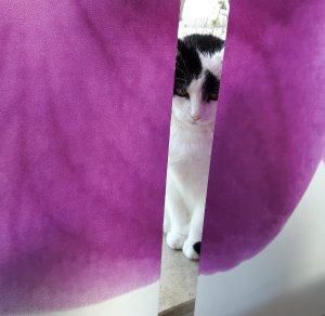 caturdayart22-10-2016