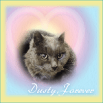 DUSTY Forever [Small]