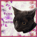 FIONA