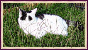 caturdayart8-10-2016