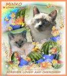 Minko forever