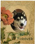 rumpy