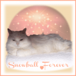 SNOWBALL Forever