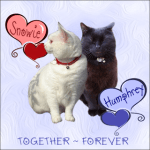 Snowie and Humphrey,&nbsp;FOREVER