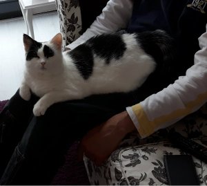 sundayselfiegrandpaw