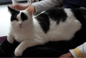 sundayselfiegrandpaw