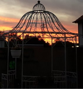 sundayselfiegrandpaw