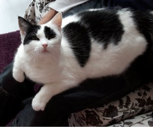 sundayselfiegrandpaw