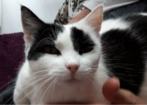 sundayselfiegrandpaw