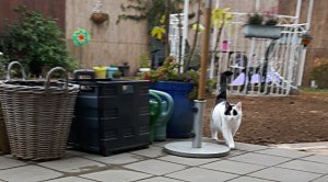 sundayselfiestrikeapose