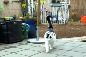 sundayselfiestrikeapose