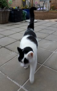 sundayselfiestrikeapose