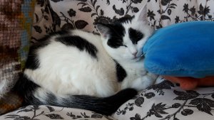 thankfulthursdaydream