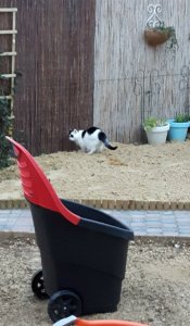 thankfulthursdaydream