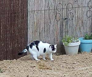 thankfulthursdaydream