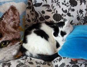 thankfulthursdaydream