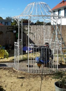 thankfulthursdaygarden