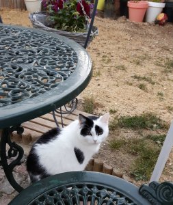 thankfulthursdaygarden