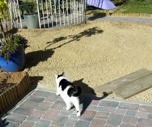 thankfulthursdaygarden