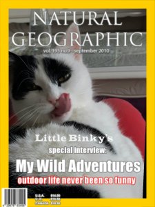 caturdayartversatileaward