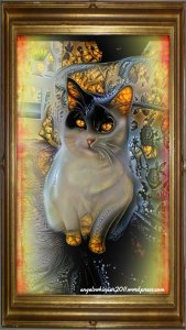 caturdaysitorrollsunburn