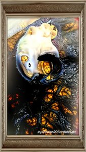 caturdaysitorrollsweetheart