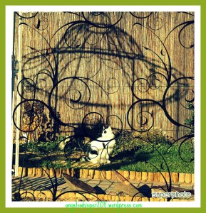 CaturdayArtwalkingarbour2