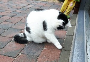 thankfulthursdayearthworm