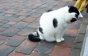 thankfulthursdayearthworm